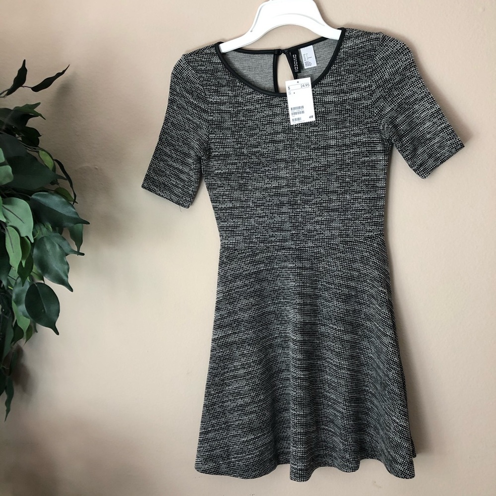 H&M Skater Dress